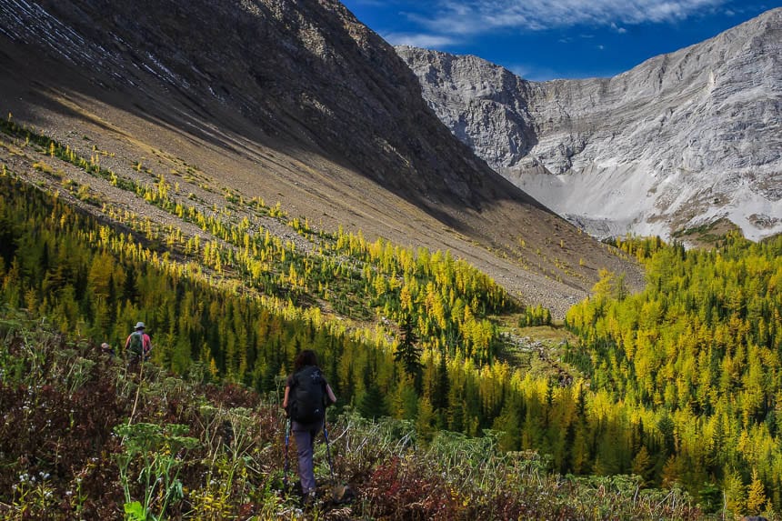 The Fantastic Pocaterra Ridge Hike in Kananaskis Country