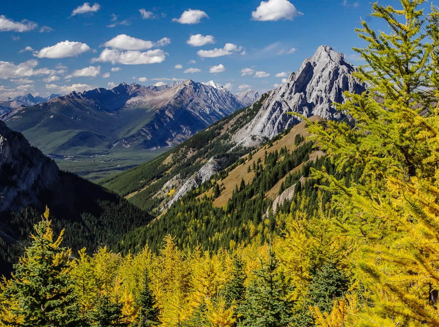 The Fantastic Pocaterra Ridge Hike in Kananaskis Country