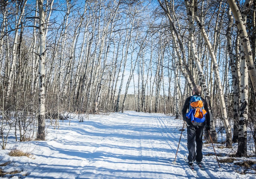 Cypress Hills, Alberta: An Affordable, Fun Winter Playground