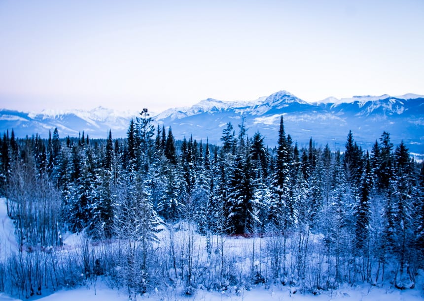The Beauty of Kicking Horse Mountain Resort in 20 Photos