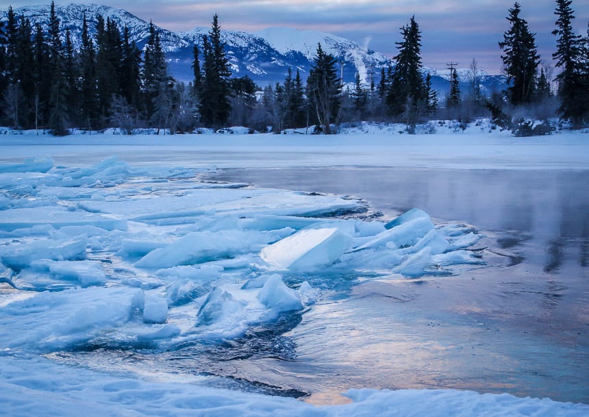 10 Reasons why you Should Visit Whitehorse in Winter
