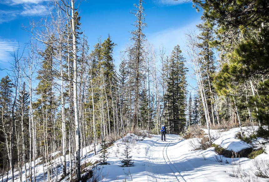 A Weekend of Winter Magic in Hinton, Alberta