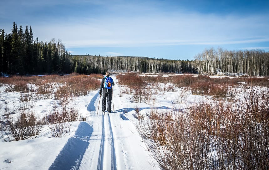 A Weekend of Winter Magic in Hinton, Alberta