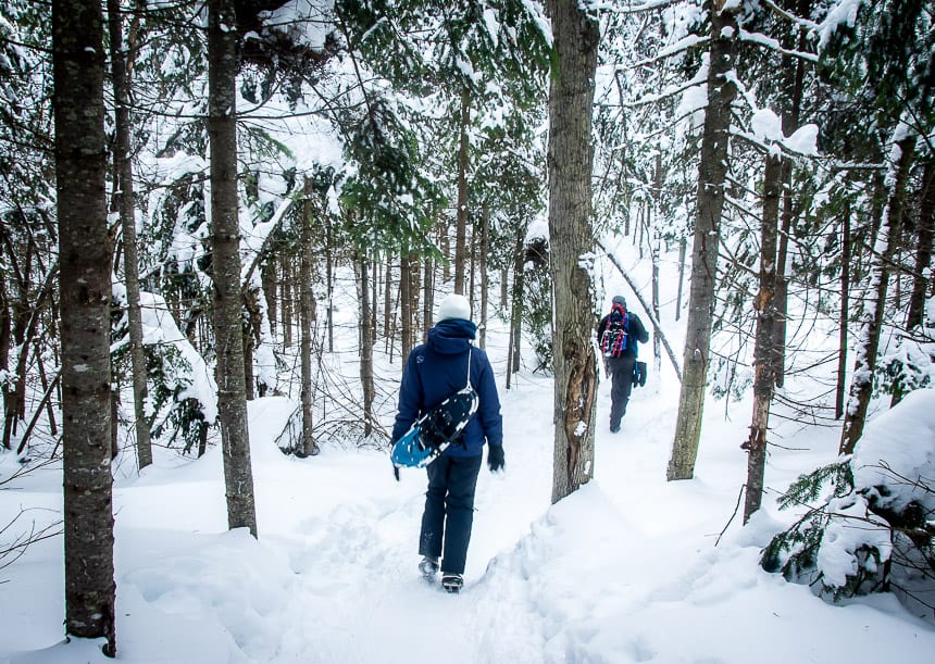 5 of the Best Winter Activities in La Mauricie National Park