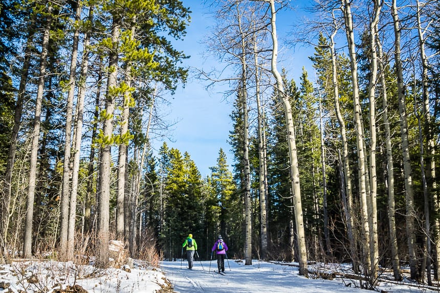 A Weekend of Winter Magic in Hinton, Alberta