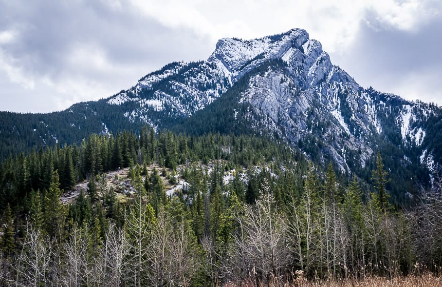 The Heart Mountain Hike near Canmore