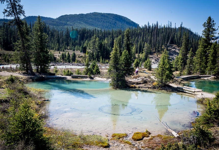 The Ink Pots Hike via Johnston Canyon