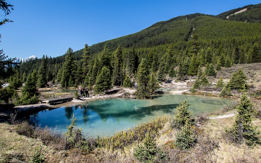 The Ink Pots Hike via Johnston Canyon