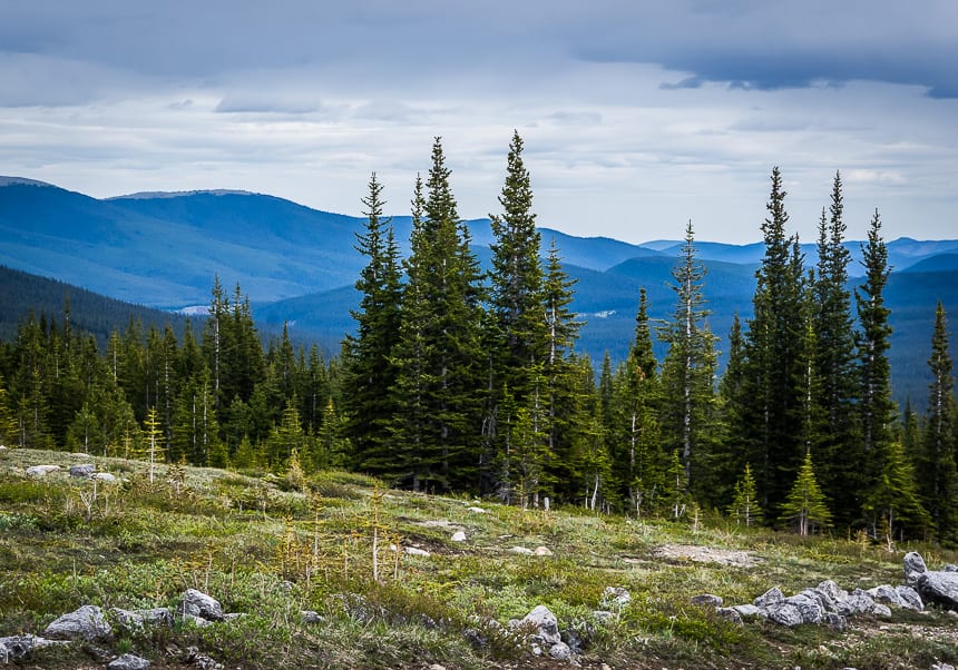 4 Great Alternatives to Jasper National Park - Repeating mountains in Wildhorse Wildland Provincial Park