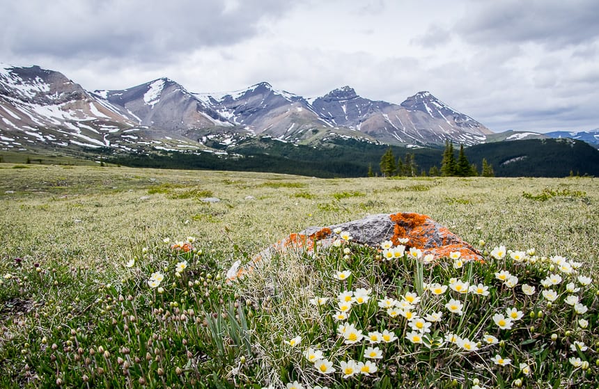 4 Great Alternatives to Jasper National Park