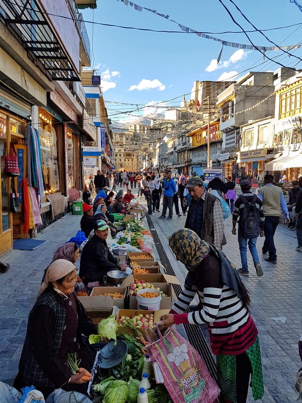 What You'll Want to do if you Have 24 Hours in Leh