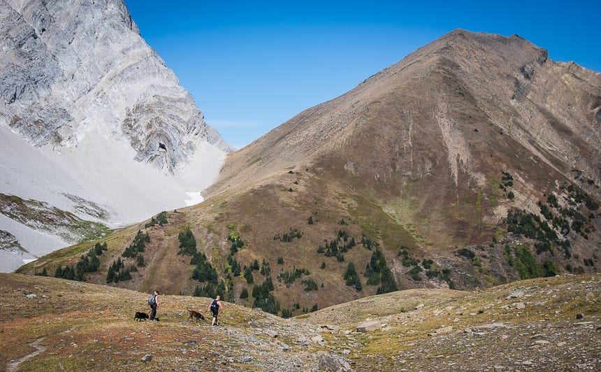 The Grizzly Peak Hike in Kananaskis Country