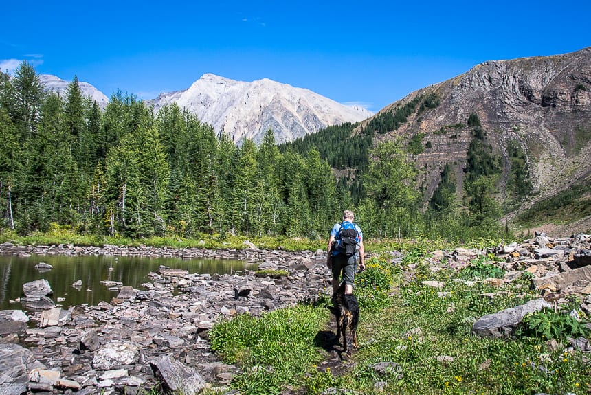 The Grizzly Peak Hike in Kananaskis Country