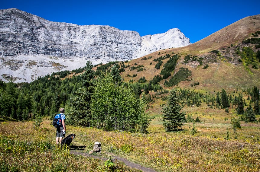 The Grizzly Peak Hike in Kananaskis Country