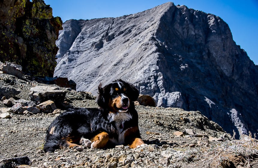 The Grizzly Peak Hike in Kananaskis Country