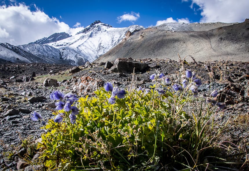 20 Photos That Will Make You Want to Trek in Northern India