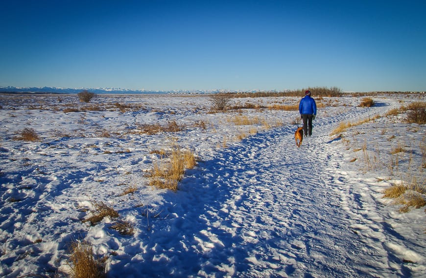 5 Easy Winter Walks Within 40 Minutes of Calgary