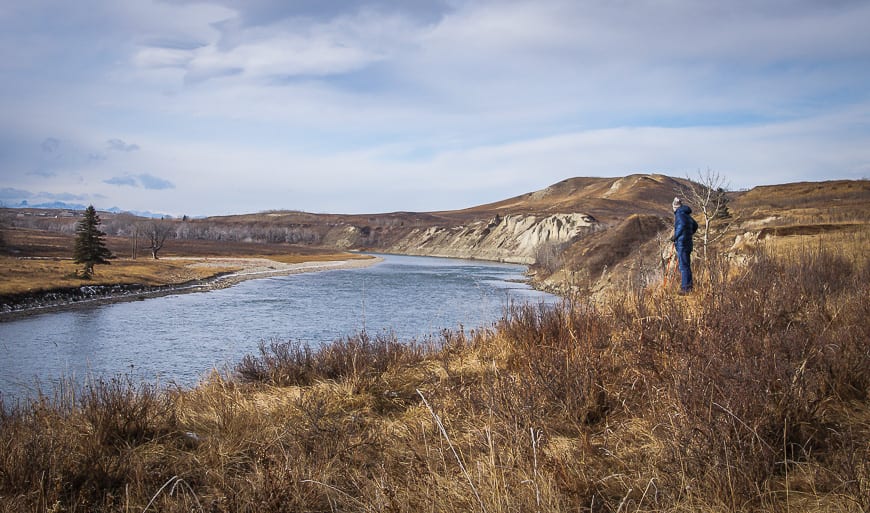 5 Easy Winter Walks Within 30 Minutes of Calgary