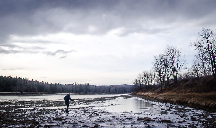 5 Easy Winter Walks Within 40 Minutes of Calgary
