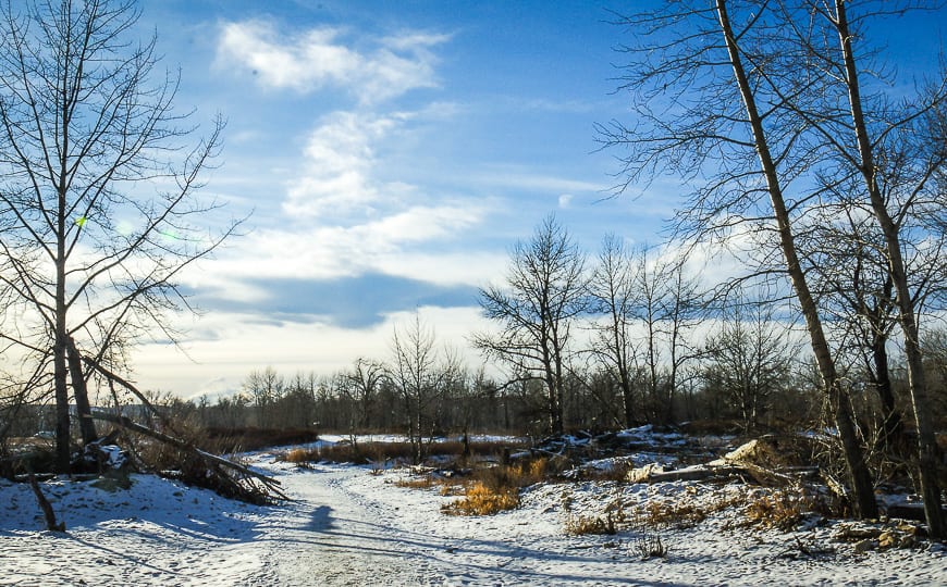 5 Easy Winter Walks Within 40 Minutes of Calgary
