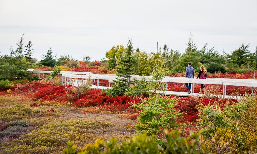 12 Stops for a Memorable Road trip through Acadian New Brunswick