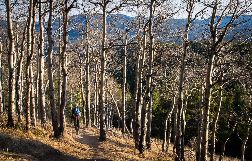 The Fullerton Loop Hike in Kananaskis Country