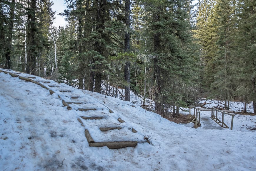 The Fullerton Loop Hike in Kananaskis Country