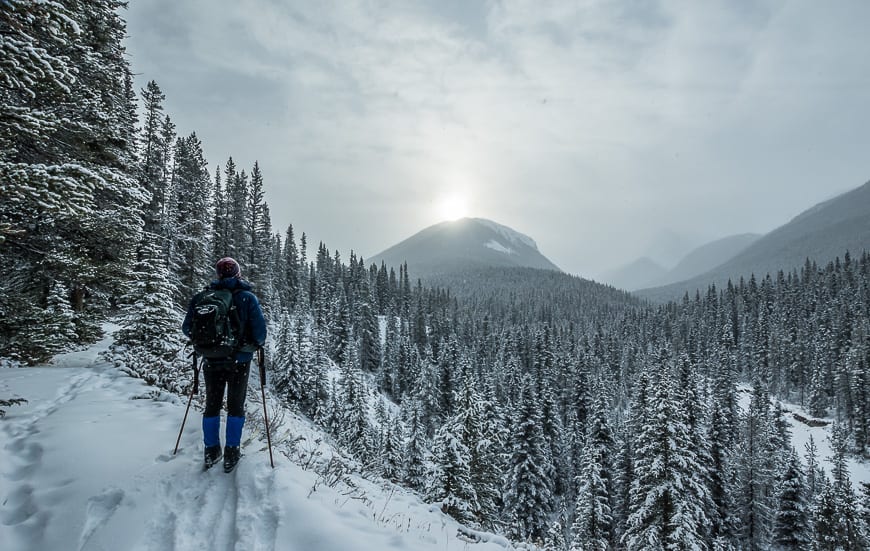 Sundance Lodge: Banff's Secret Winter Destination