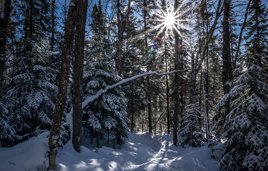 Sault Ste. Marie's Hiawatha Highlands is Awesome in Winter