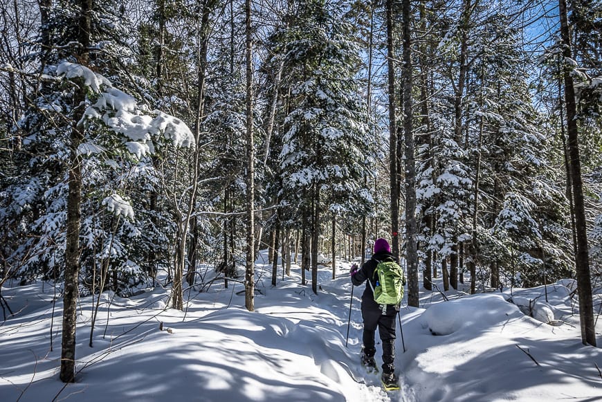 Sault Ste. Marie's Hiawatha Highlands is Awesome in Winter
