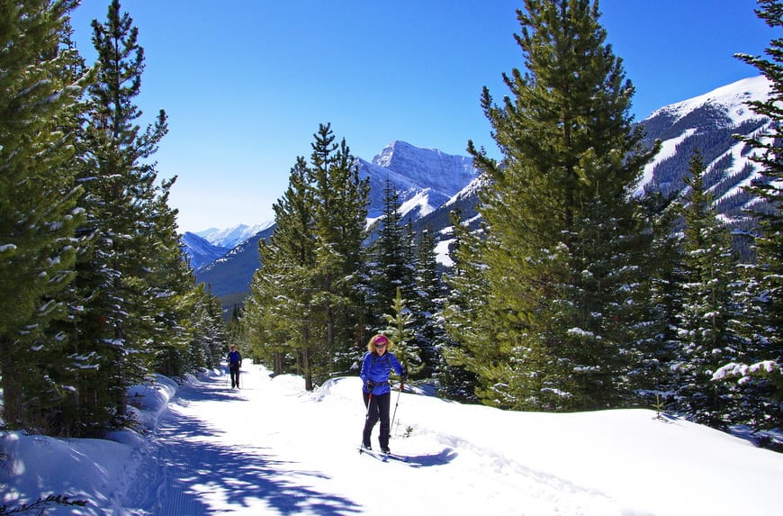 5 of the Best Places to Cross-country Ski near Calgary