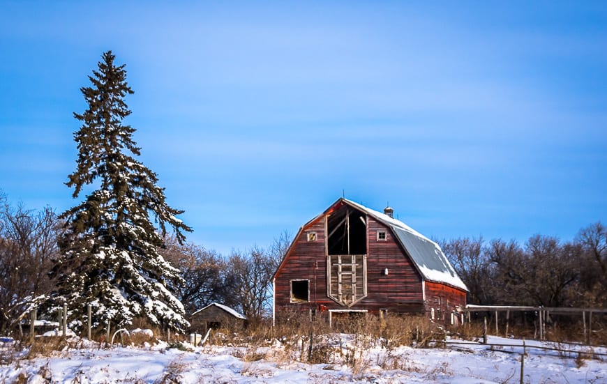What to do on a Winter Trip to Riding Mountain National Park