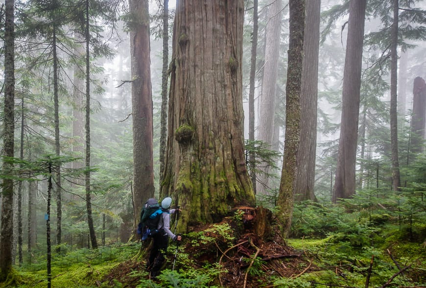 25 of the Very Best Outdoor Adventures in British Columbia