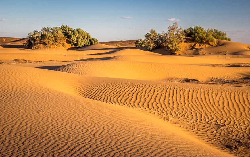 A Trip to Morocco's Sahara Desert