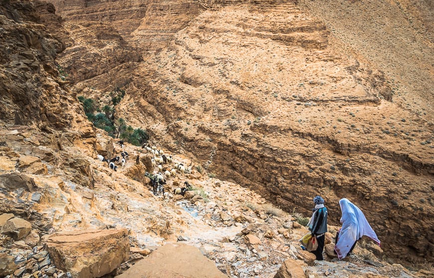 A 2 Day Hike in the Anti-Atlas Mountains of Southern Morocco