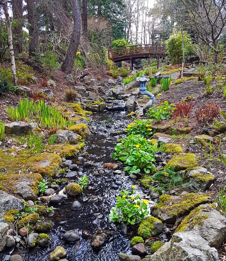 3 of the Best Gardens to Visit in Victoria, BC