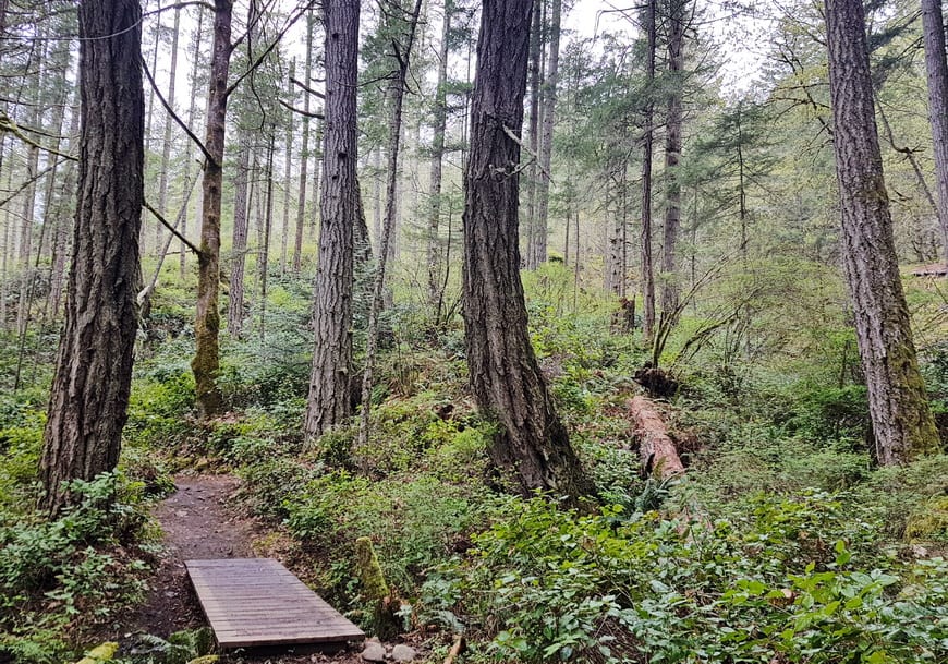 Hiking in Victoria BC - A Couple of the Must Do Trails