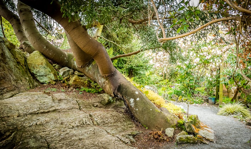 3 of the Best Gardens to Visit in Victoria, BC