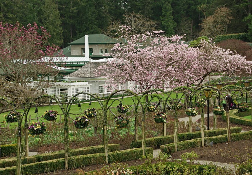 3 of the Best Gardens to Visit in Victoria, BC