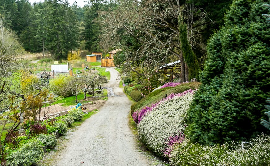 3 of the Best Gardens to Visit in Victoria, BC