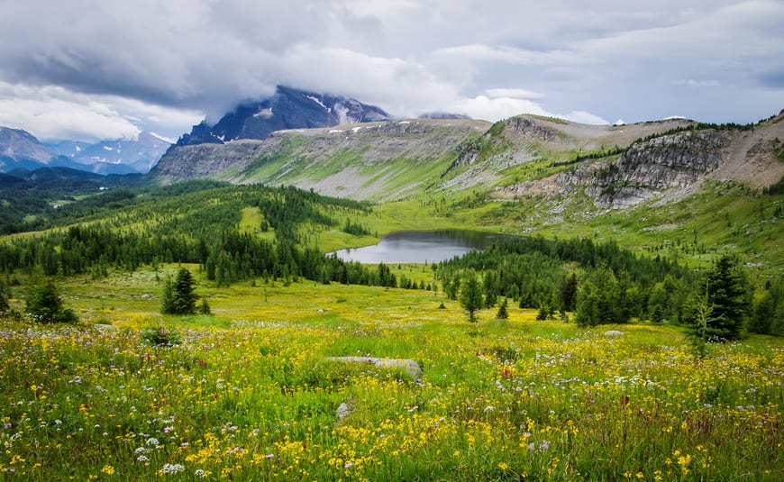 125 Nature Hot Spots in Alberta