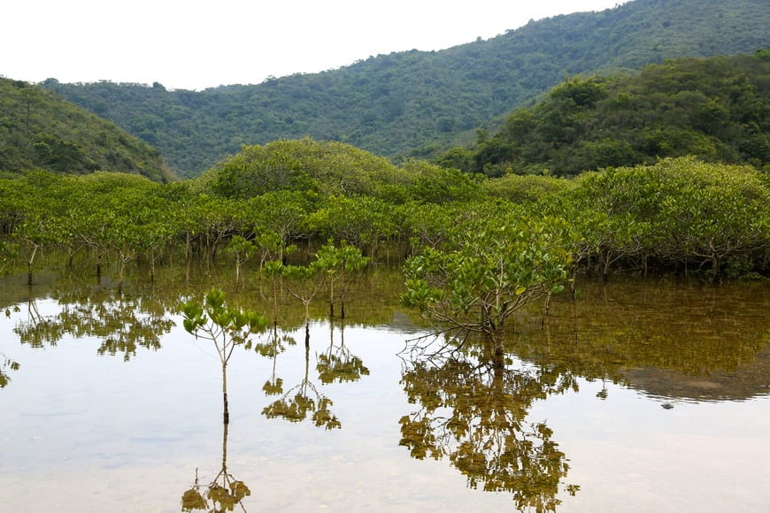 Hong Kong's Great Outdoors