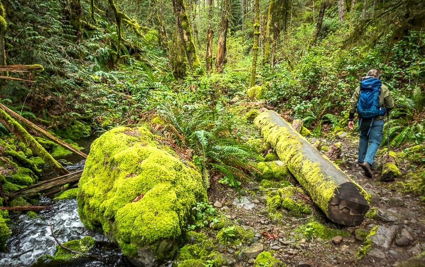 Hiking in Victoria BC - A Couple of the Must Do Trails