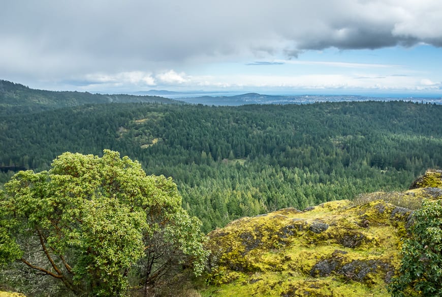 Hiking in Victoria BC - A Couple of the Must Do Trails