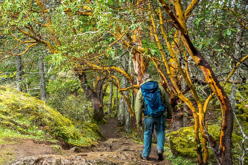 Hiking in Victoria BC - A Couple of the Must Do Trails
