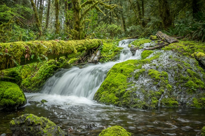 Hiking in Victoria BC - A Couple of the Must Do Trails
