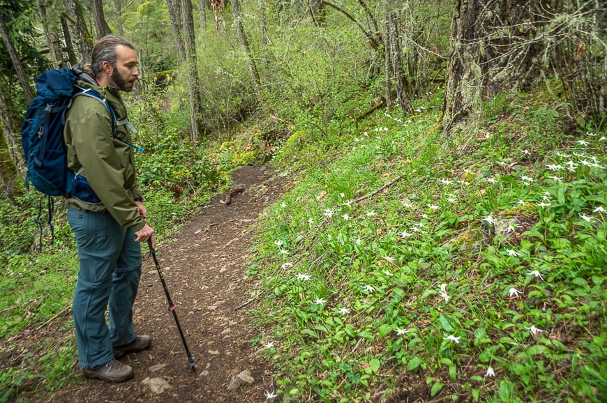 Hiking in Victoria BC - A Couple of the Must Do Trails