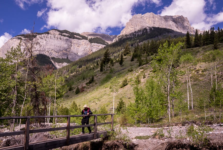 Banff Hikes: The Aylmer Lookout Trail