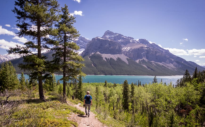 Banff Hikes: The Aylmer Lookout Trail