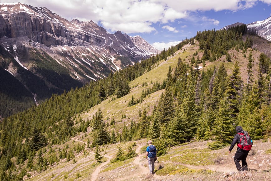 Banff Hikes: The Aylmer Lookout Trail
